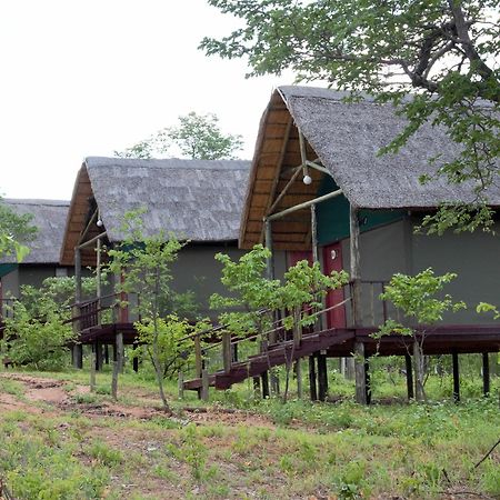 Lion Roars Lodge Lesoma Екстер'єр фото