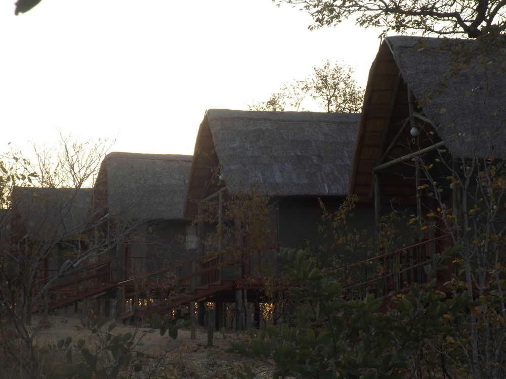 Lion Roars Lodge Lesoma Екстер'єр фото