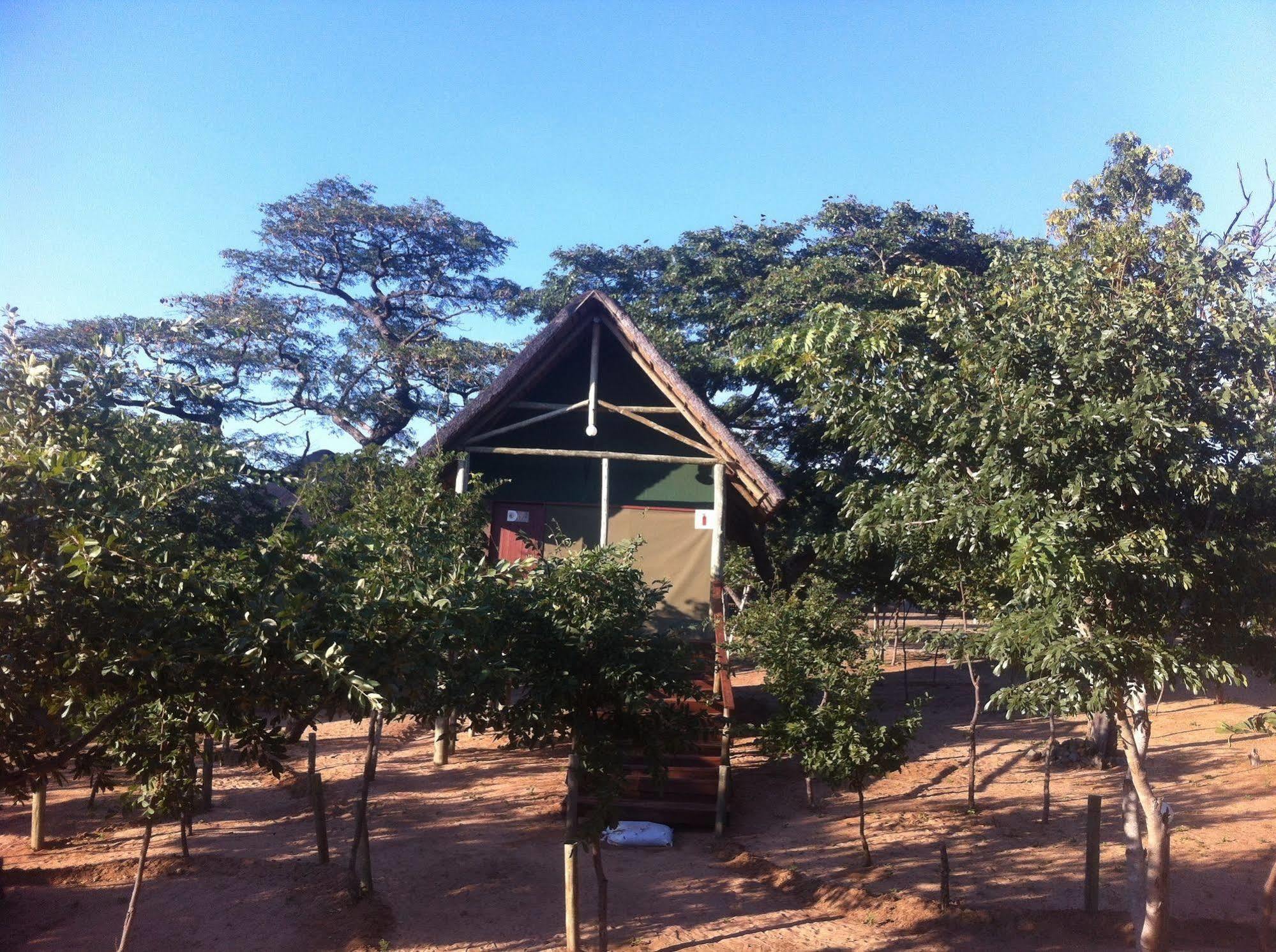 Lion Roars Lodge Lesoma Екстер'єр фото