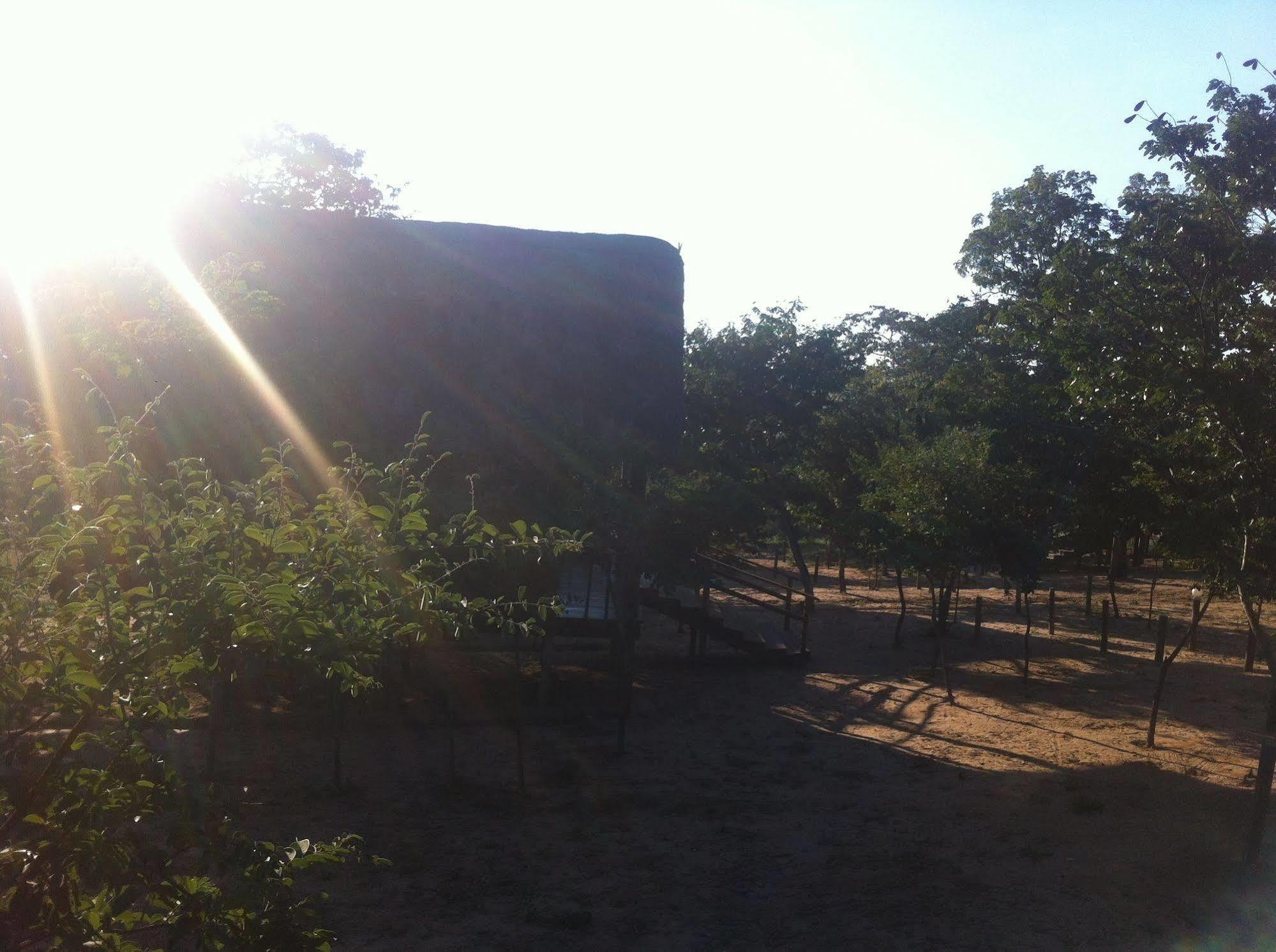 Lion Roars Lodge Lesoma Екстер'єр фото