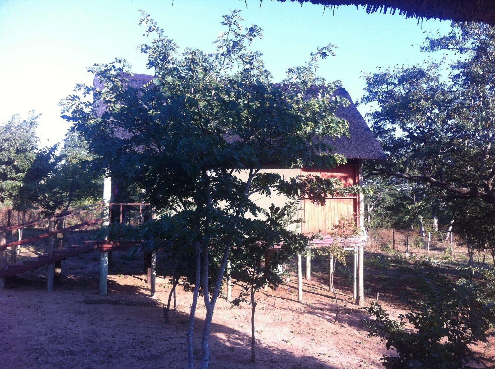 Lion Roars Lodge Lesoma Екстер'єр фото