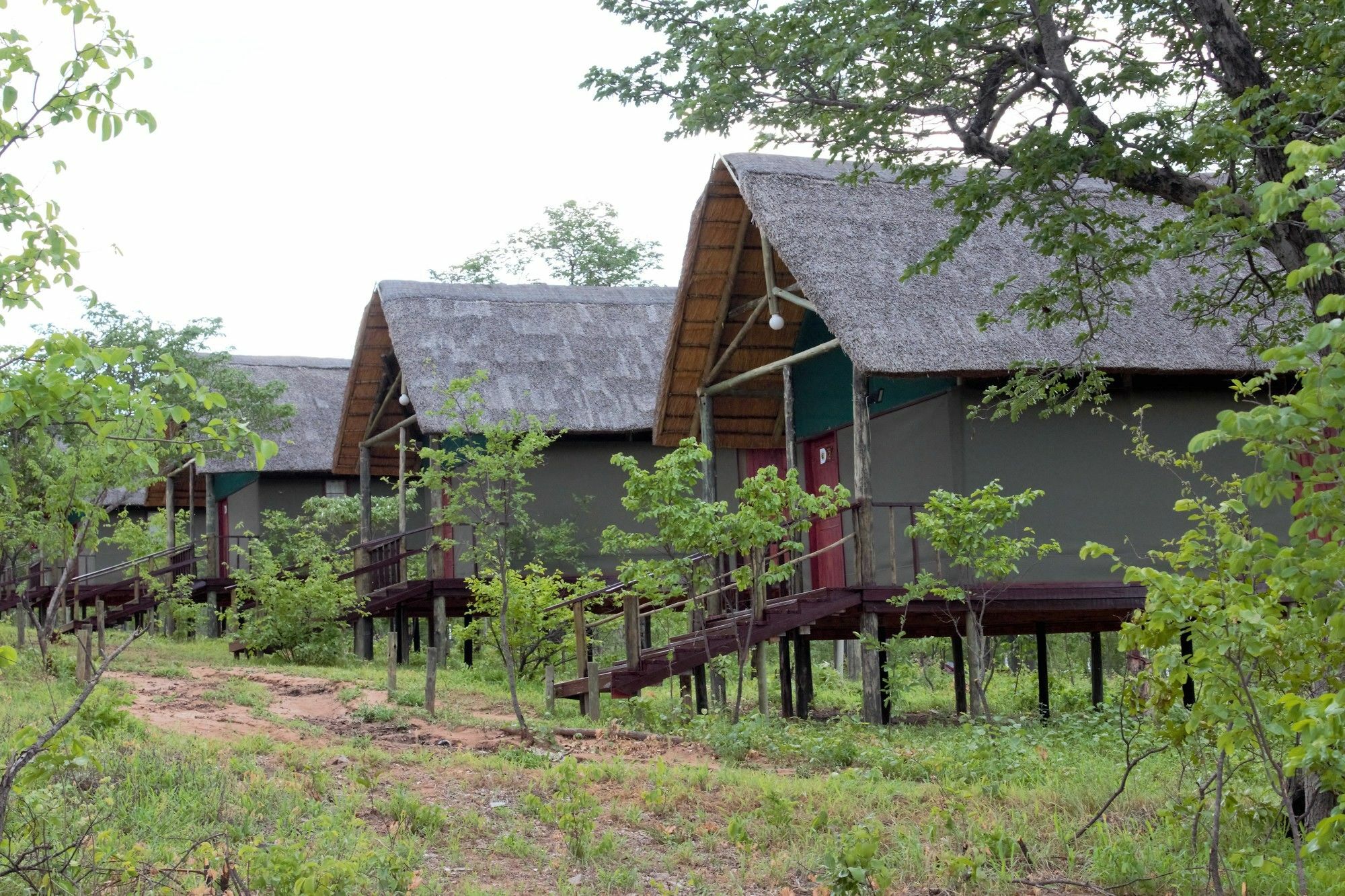 Lion Roars Lodge Lesoma Екстер'єр фото