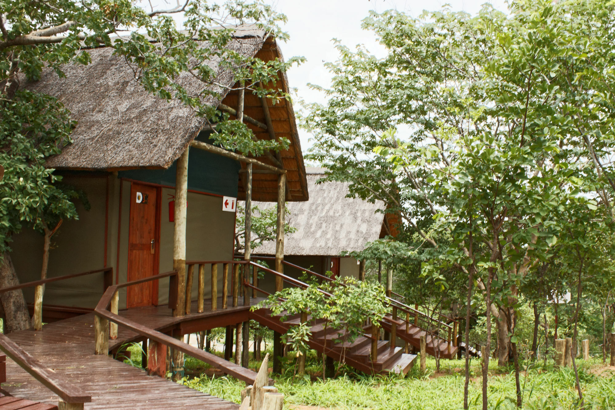 Lion Roars Lodge Lesoma Екстер'єр фото